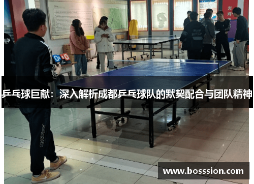 乒乓球巨献：深入解析成都乒乓球队的默契配合与团队精神