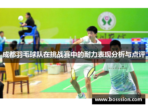 成都羽毛球队在挑战赛中的耐力表现分析与点评